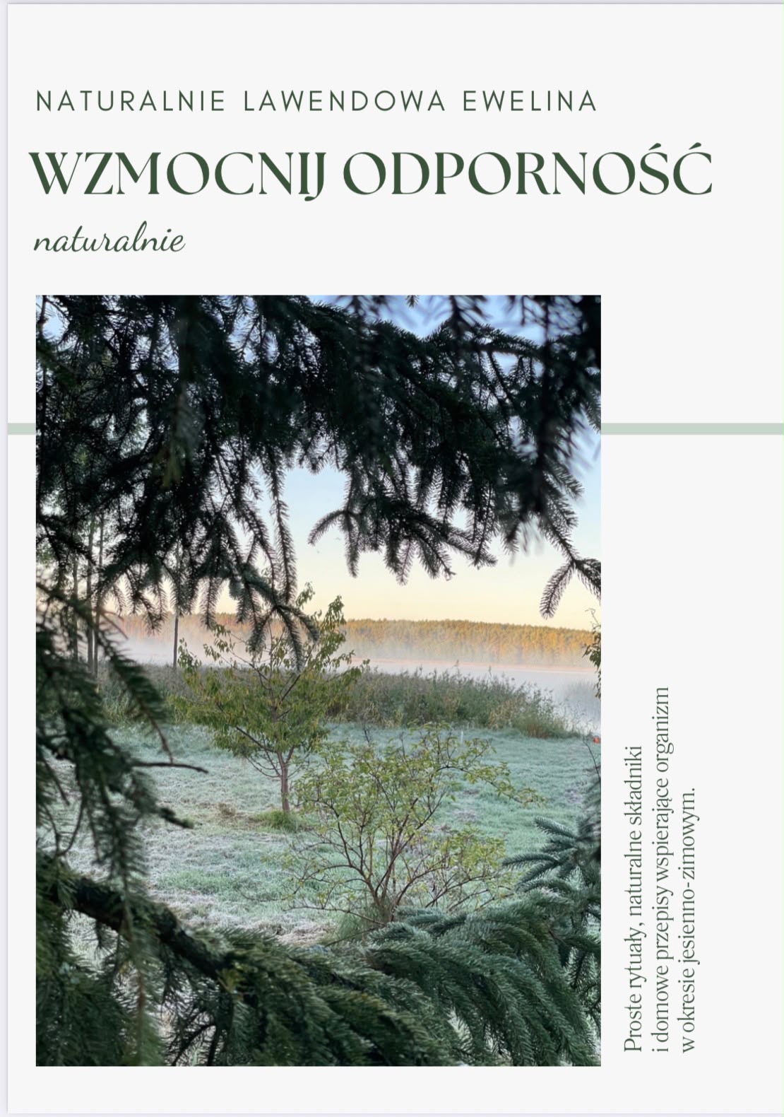Wzmocnij odporność
